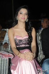 Richa Panai at Lava Kusa Movie Audio Launch